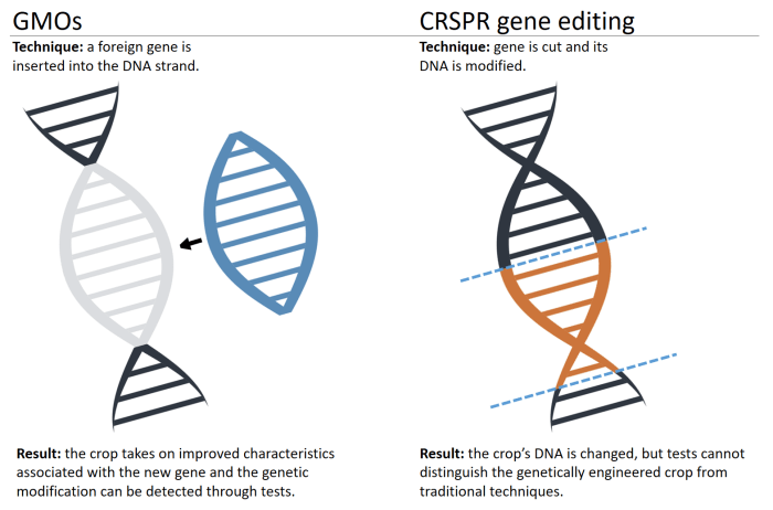 Dna oils essential answer repair short genome fig limited research credit