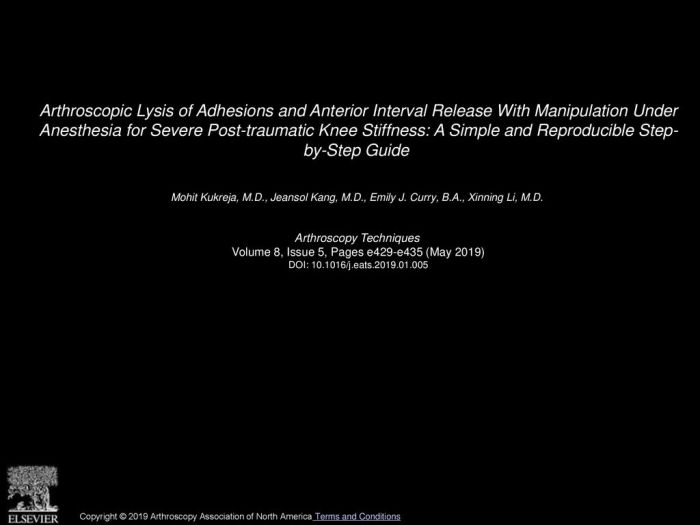 Arthroscopic lysis of adhesions shoulder