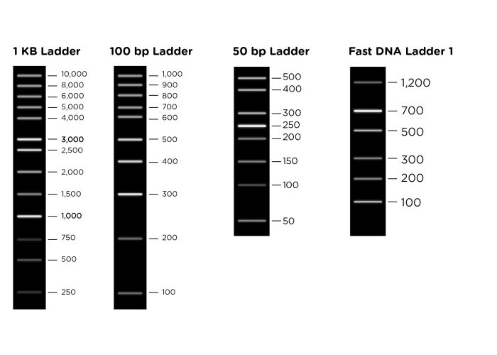 Choosing a warning label for human dna