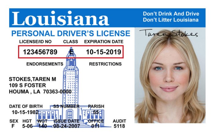 How to get chauffeur's license in louisiana